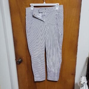 Womens Capris Size 4 Ann Taylor